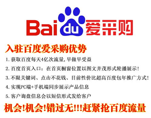 濟(jì)南鴻利達(dá)信息科技 專業(yè)賦能，讓網(wǎng)絡(luò)推廣變得更輕松